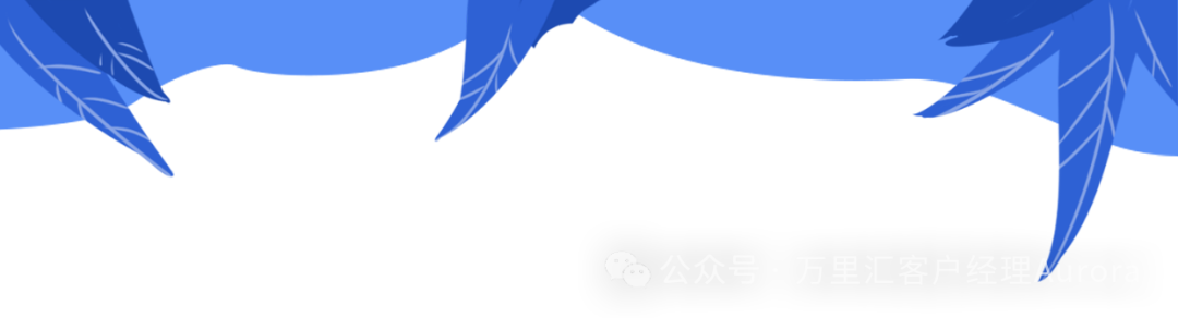 什么是结汇额度